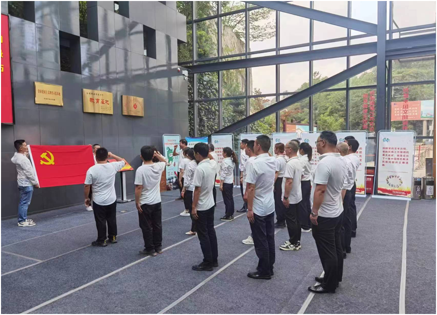 赏金国际 b01a7